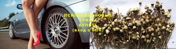 марихуана Белокуриха